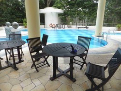 Patent Place (D21), Condominium #178017112